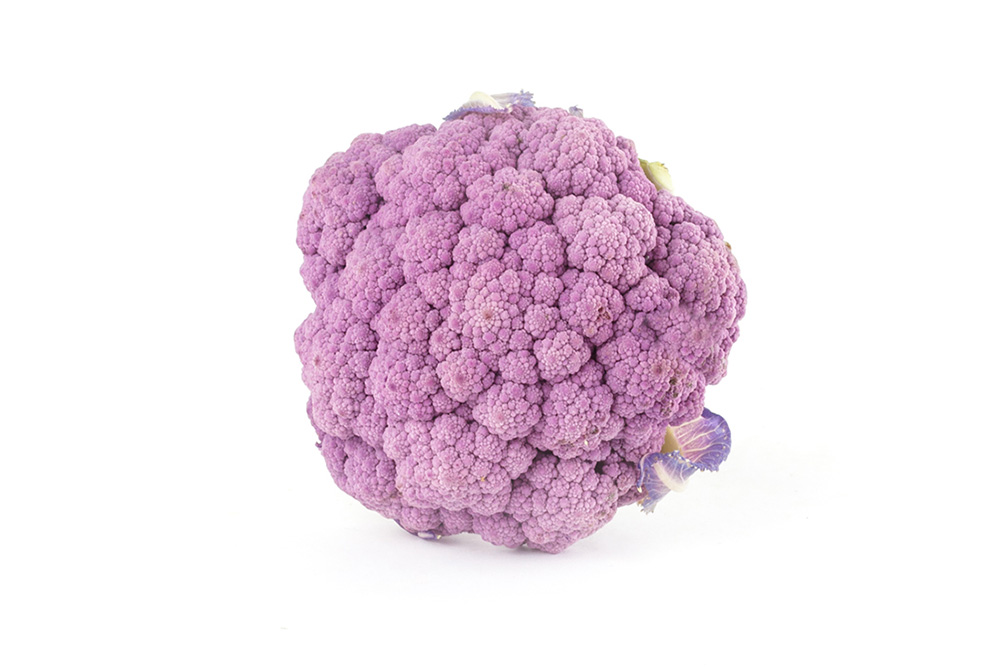 egm-blumenkohl-violett2.jpg